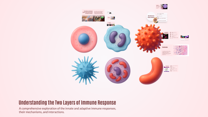 Understanding the Two Layers of Immune Response by Taylor Edstrom on Prezi
