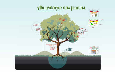 Respondendo a @istelataveira #plantabaixa #plantadecasa