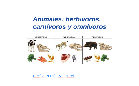 herbívoros carnívoros y omnívoros