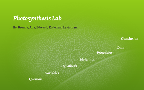 Photosynthesis Lab Rposter Photosynthesis Lab Mini Poster by Brenda Munoz on Prezi