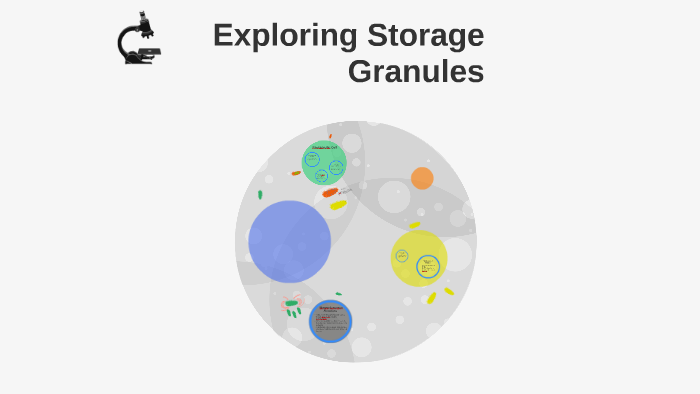 Exploring Storage Granules by Laila Hassen