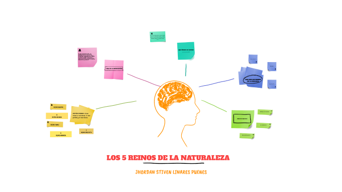 los 5 reinos de la naturaleza by Jhordan Stiven LinaresPuentes on Prezi