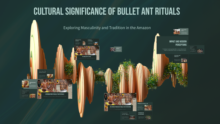 Cultural Significance of Bullet Ant Rituals by Abdirahman Ahmed Mohamed ...