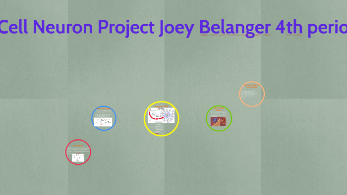 Science Project For Thurday By Joey Belanger On Prezi Next