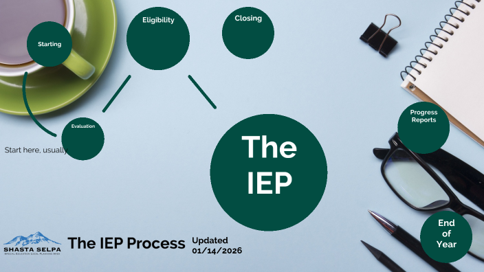 The IEP Process by Christian Patz on Prezi
