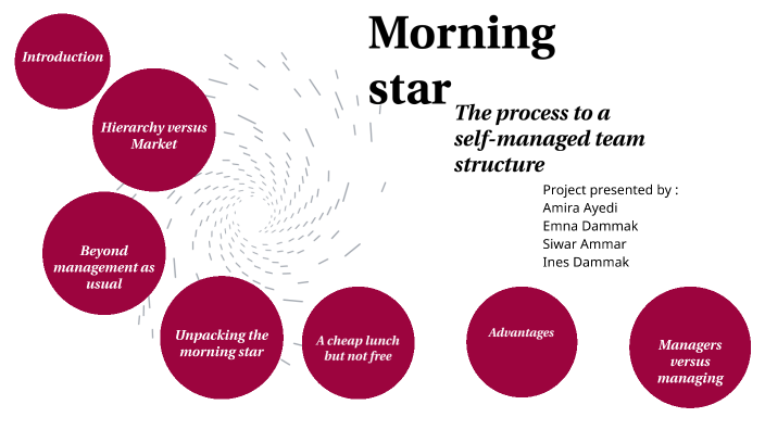self-managed-team-structure-by-amira-ayedi-on-prezi