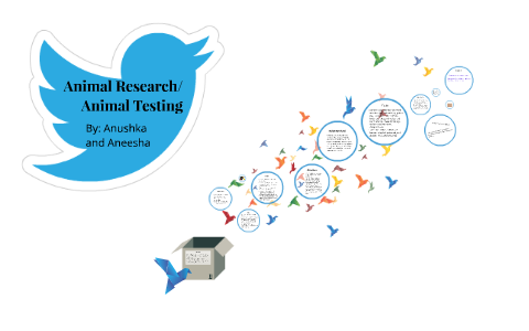 Animal Research  Animal Testing By Aneesha Tadikonda