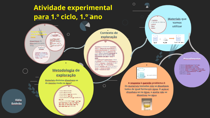 atividade experimental