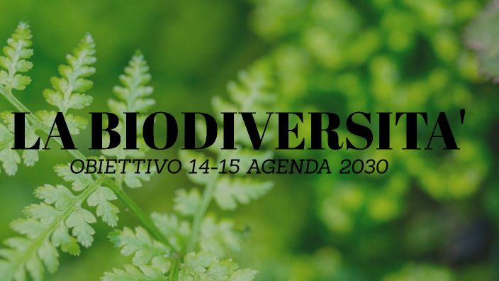 Tesina sulla biodiversità by DAGO ANNAR on Prezi