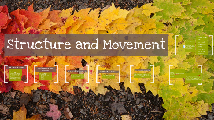 Structure and Movement by bob jackson on Prezi