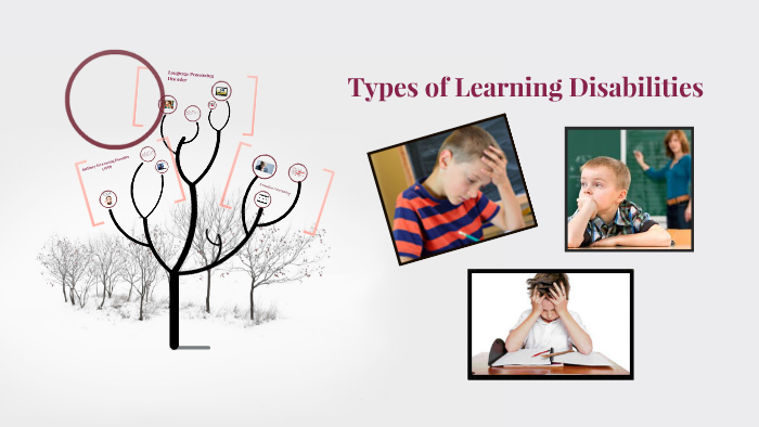 types-of-learning-disabilities-by-yexsira-lewis