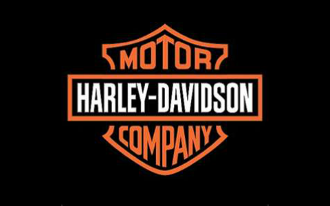 Harley Davidson by Vanessa Annotti