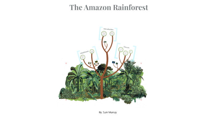 The Amazon Rainforest by Sam Murray on Prezi