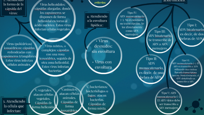 Clasificación de los virus by vanessa gomez rojas on Prezi