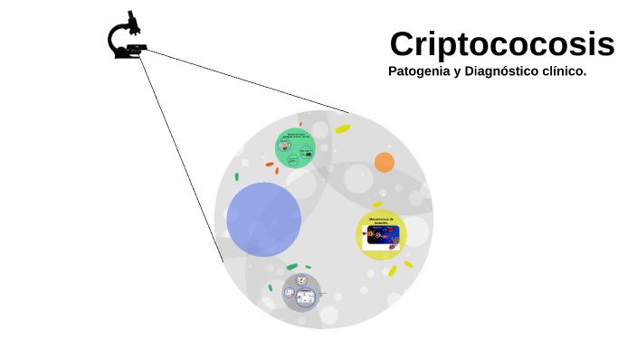 Criptococosis Patogenia y Diagnóstico clínico. by David Villalta on Prezi