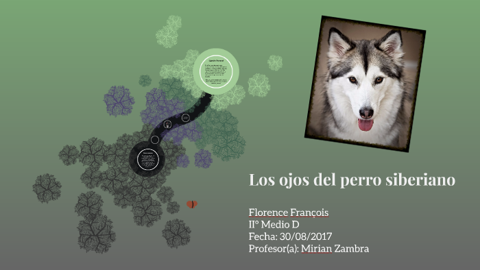 Los ojos del perro siberiano by Flo Francois on Prezi