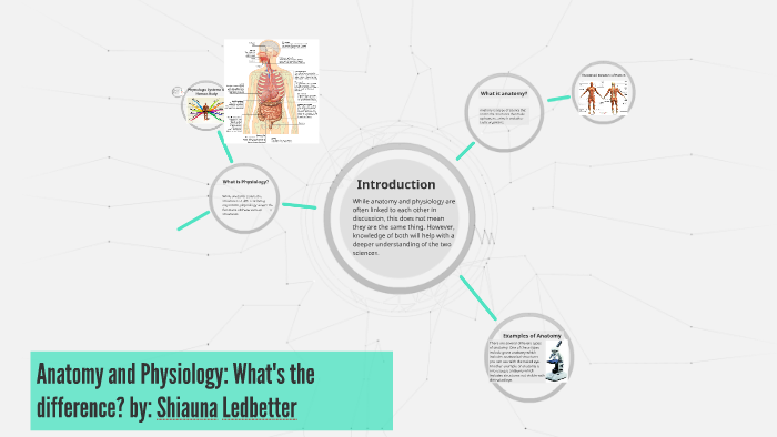 anatomy-and-physiology-what-s-the-difference-by-shiauna-ledbetter