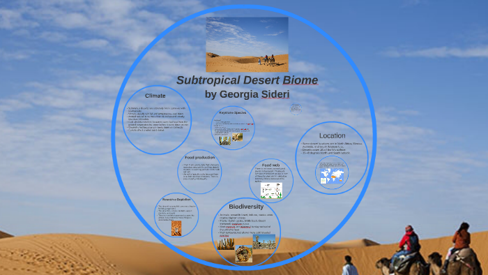 Subtropical Desert Biome By Georgia Sideri On Prezi