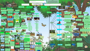 Ecosistemas by Maria Guadalupe Mendoza Hernandez on Prezi Design