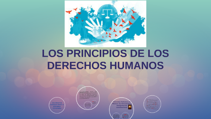 LOS PRINCIPIOS DE LOS DERECHOS HUMANOS by Sergio Chavarria on Prezi