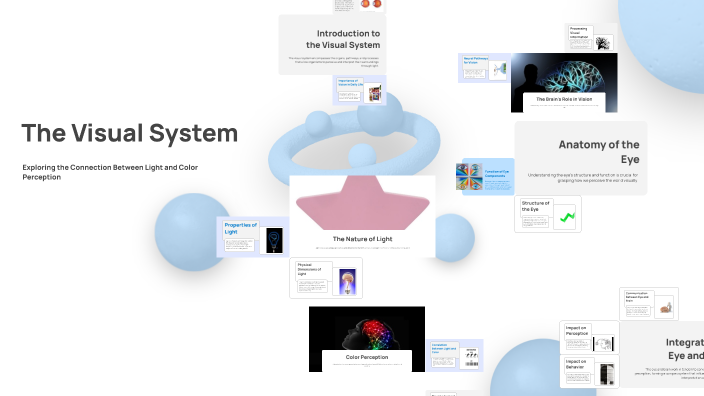 The Visual System by Aly Fischer on Prezi