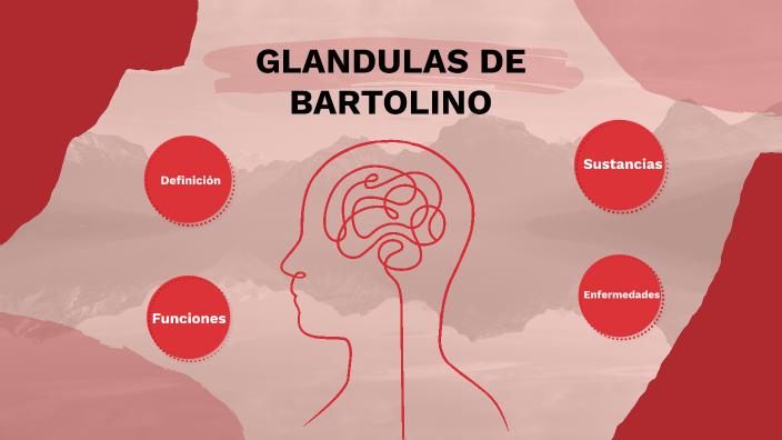 Glándulas de Bartolino by Valentina Rojas Rojas on Prezi Next