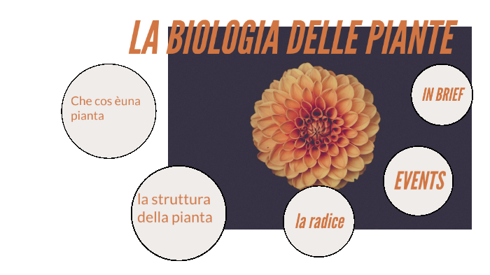 La Biologia Delle Piante Di Raven LA BIOLOGIA DELLE PIANTE by Martina Algieri on Prezi Next