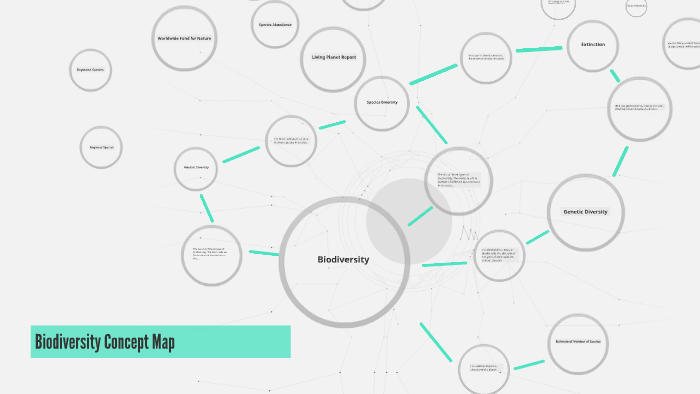 Biodiversity Concept Map By Emma Demers On Prezi