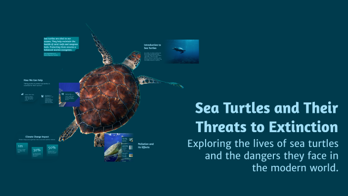 Sea Turtles and Their Threats to Extinction by Alessandro Patti on Prezi