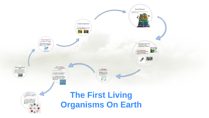 the-first-living-organisms-on-earth-by-carlos-eduardo-ferrufino