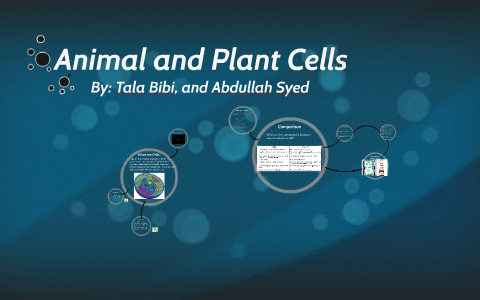 Animal and plant cells by Tala Bibi on Prezi
