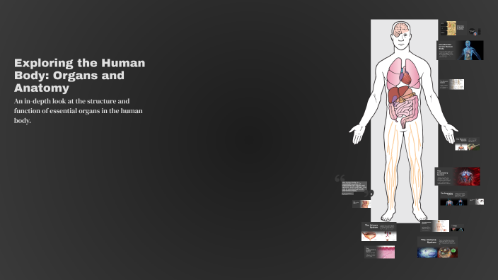 Exploring the Human Body: Organs and Anatomy by Vana Slipcevic on Prezi