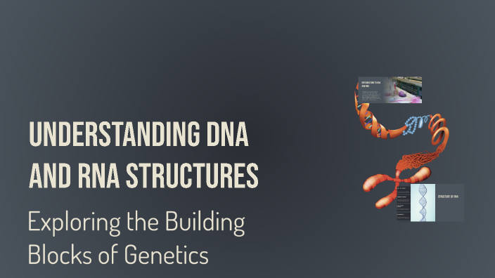 Understanding DNA and RNA Structures by Joannes Paul Morales on Prezi