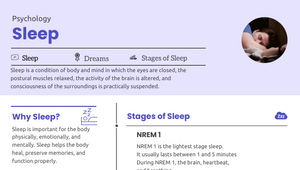Sleep Infographic by Matthew Lacy on Prezi Design