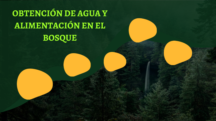 OBTENCIÓN DE AGUA Y ALIMENTACIÓN EN EL BOSQUE by Coral Molina on Prezi