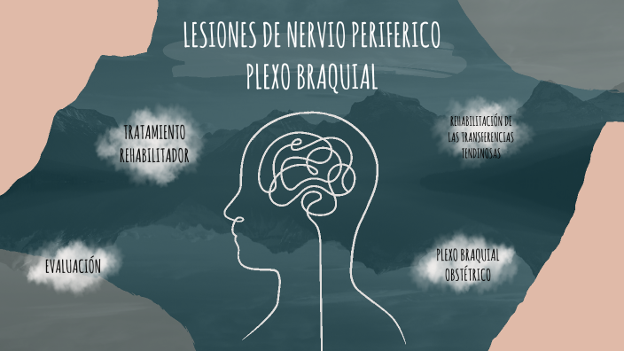 LESIONES DE NERVIO PERIFERICO by NATALIA CORTES on Prezi