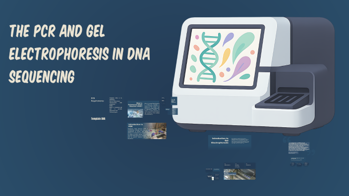 Understanding PCR and Gel Electrophoresis in DNA Sequencing by ...