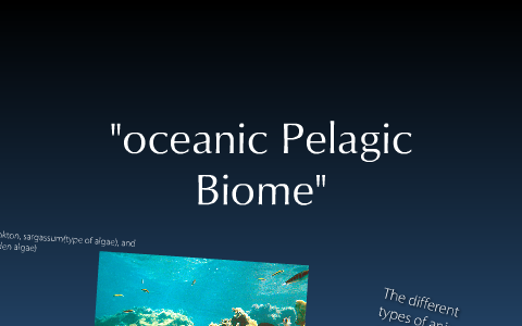 Oceanic pelagic Biome by wesl;ey crosby on Prezi