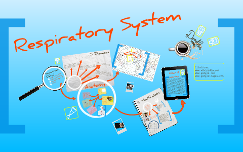 Respiratory System by your mom on Prezi