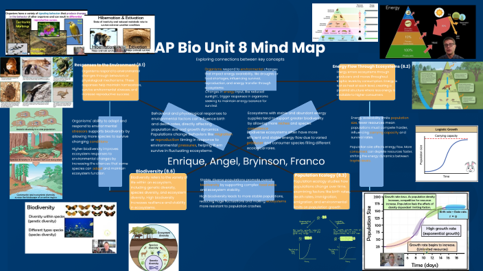 Unit 8 mind map by Enrique Jimenez on Prezi