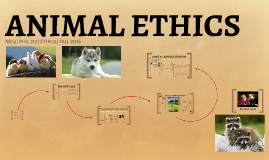 ANIMAL ETHICS by Tyler Zimmer