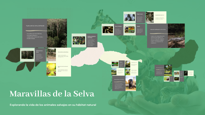 Maravillas de la Selva by amparo sanchez on Prezi