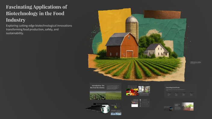 Fascinating Applications of Biotechnology in the Food Industry by hi fi ...