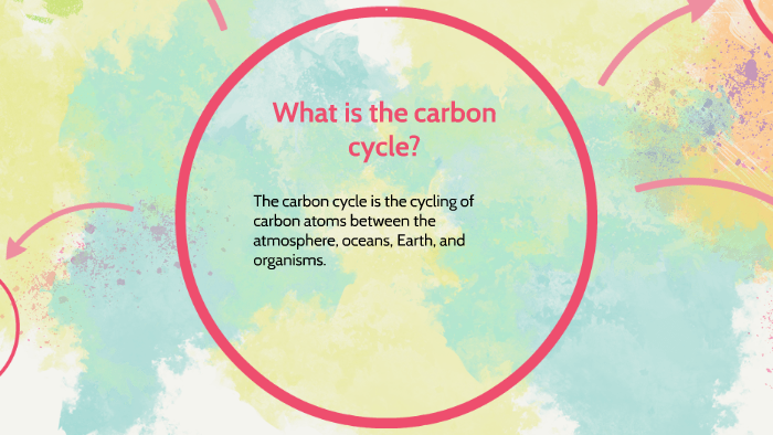 The Carbon Cycle and its Importance by Arianna Poland on Prezi