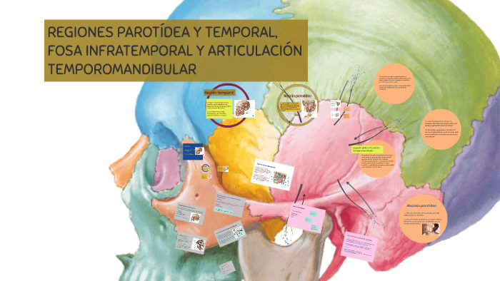 región parotídea