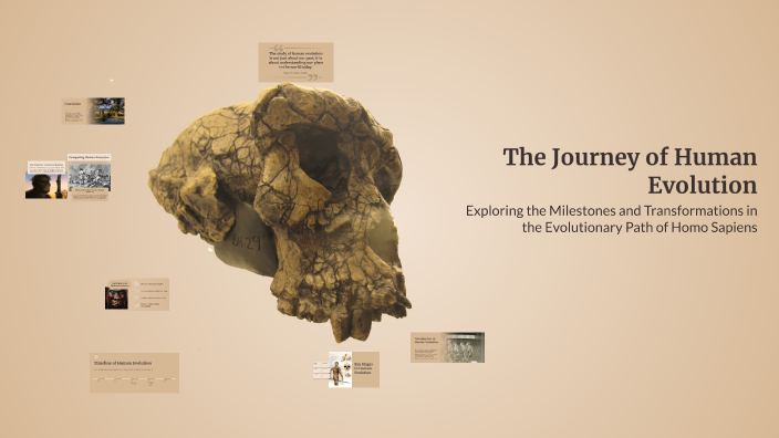 The Journey of Human Evolution by Arnav Parvatkar on Prezi