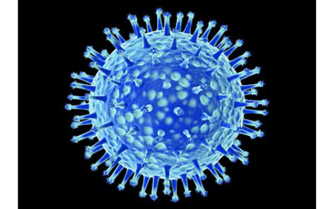 estructura de paramixovirus