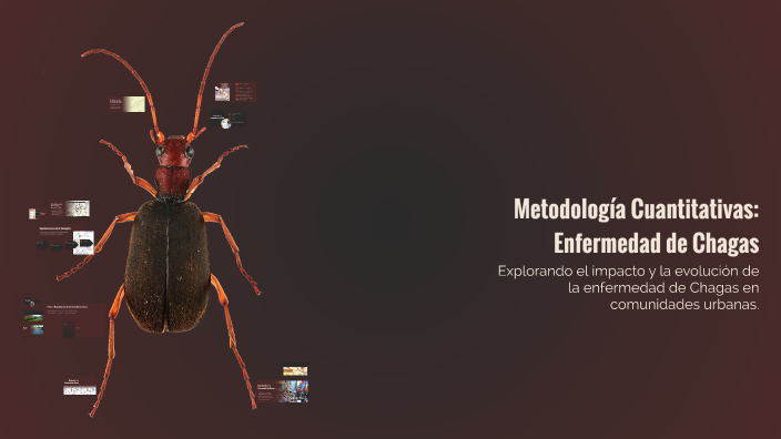 Metodología Cuantitativas: Enfermedad de Chagas by carolina piñeyro on ...