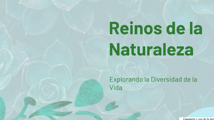 Reinos de la Naturaleza by YESSEN SHARITH NIÑO DUARTE on Prezi