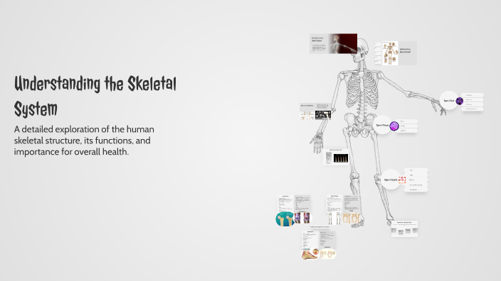 Understanding the Skeletal System by Layla Rapchalk on Prezi